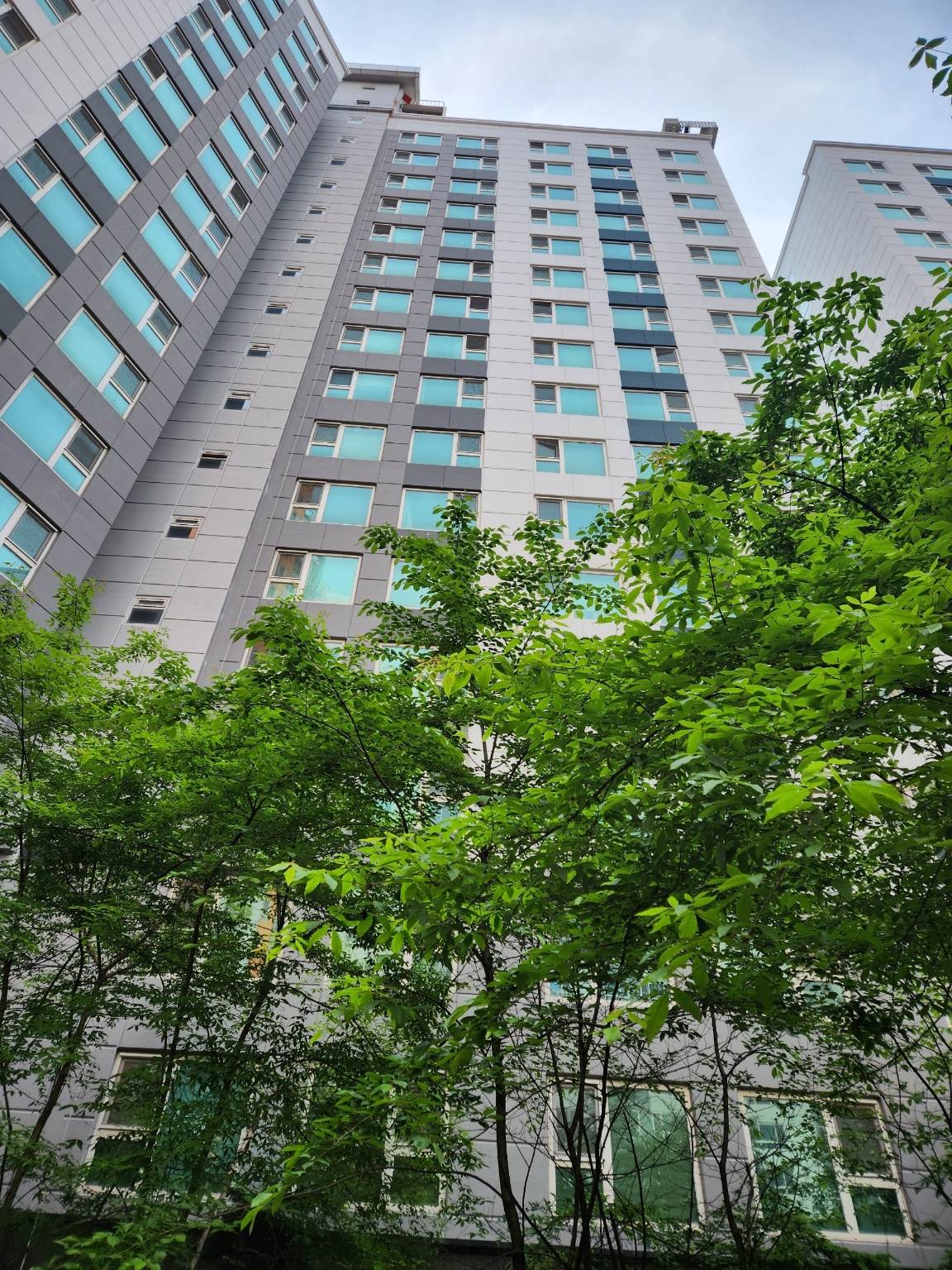 KakaoTalk_20250502_163340993_07.jpg